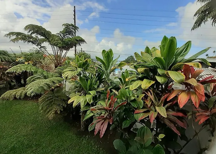 Paradise Cottage At Anthurium Hale
