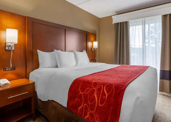 Comfort Suites Knoxville North