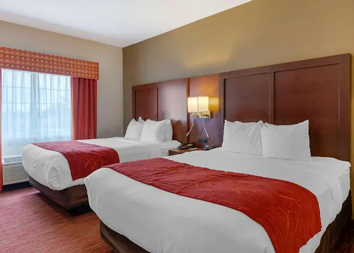 Comfort Suites Columbus Expo Center