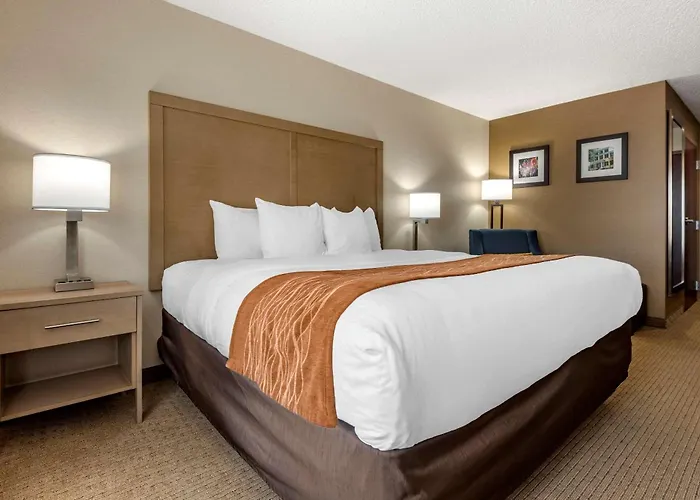 Comfort Inn & Suites Farmington - Victor