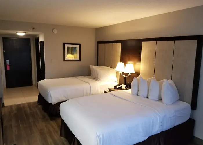Wyndham Garden Hotel - Jacksonville