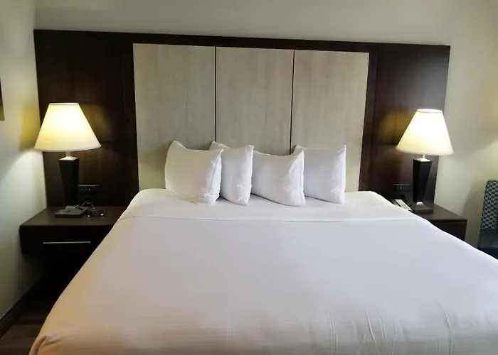 Wyndham Garden Hotel - Jacksonville