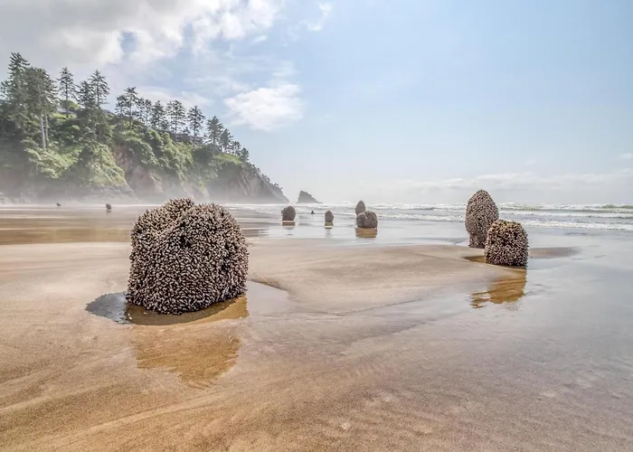 Sea Here - Meredith Lodging