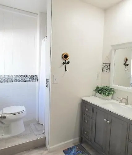 King Size Sassy Studio