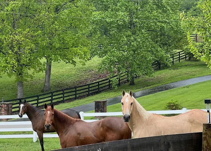 Nicura Ranch Inn & Stables