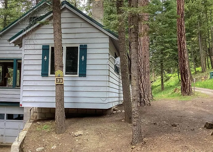 Cabin In The Pines