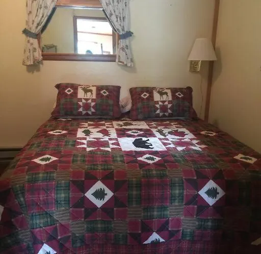 Denali Park Homestead
