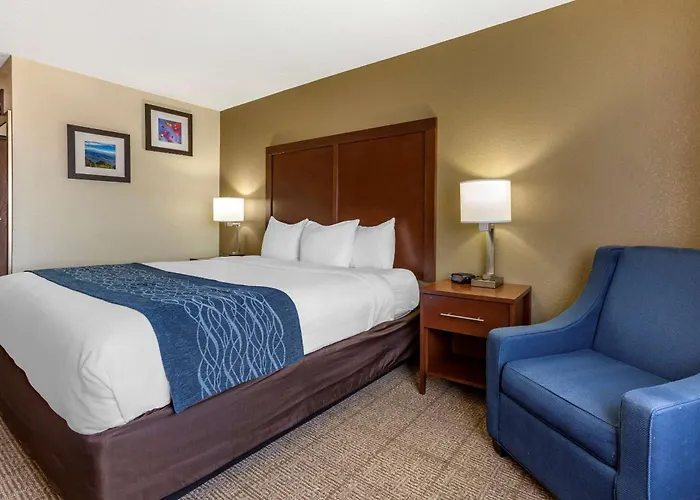Comfort Inn & Suites Alameda At Albuquerque Balloon Fiesta Park