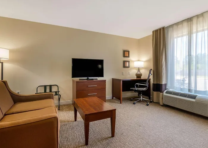 Comfort Inn&Suites Macon West