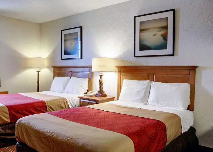 Rodeway Inn New Braunfels - San Antonio Area