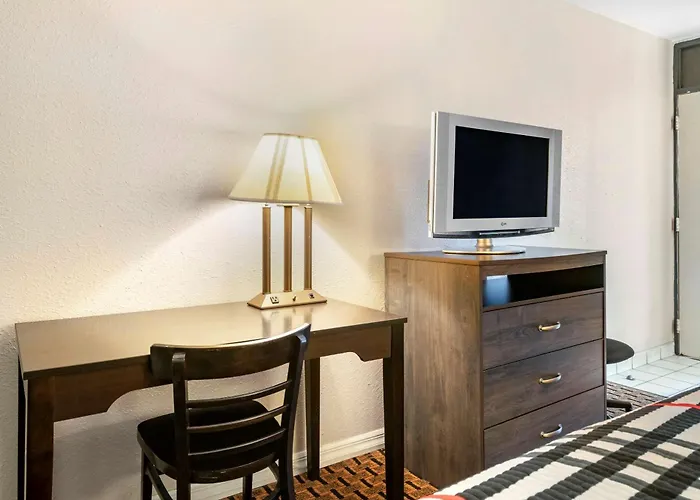 Rodeway Inn New Port Richey
