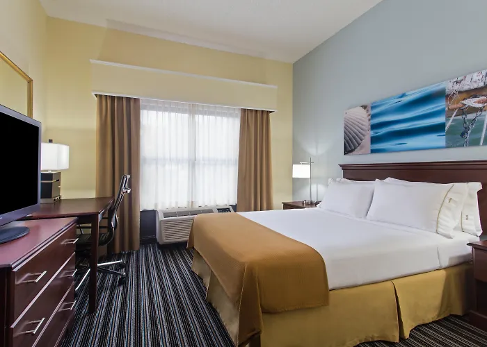 Holiday Inn Express & Suites Clearwater North/Dunedin