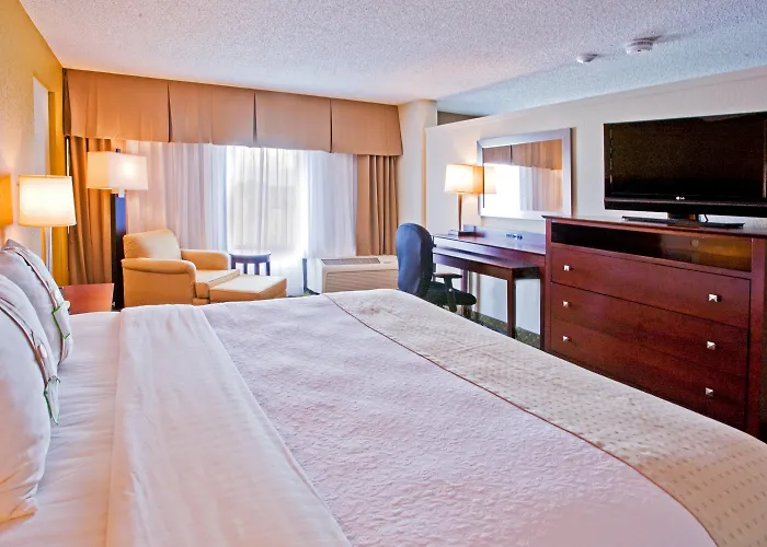 Holiday Inn St. Petersburg N - Clearwater By Ihg