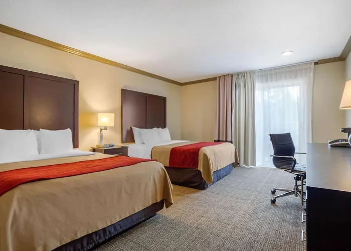 Comfort Inn Castro Valley