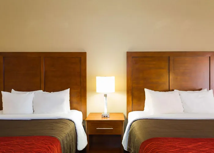 Baymont By Wyndham Bonita Springs