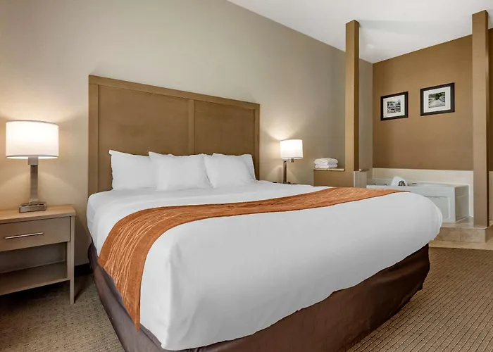 Comfort Inn & Suites Farmington - Victor