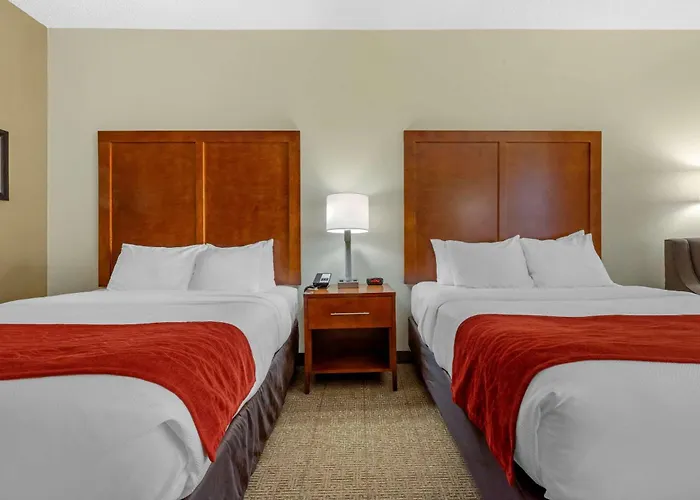 Comfort Inn & Suites Lenoir Hwy 321 Northern Foothills