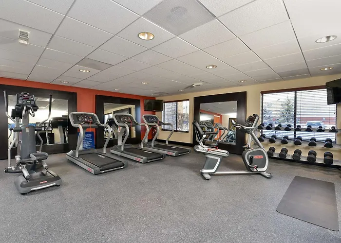 Hampton Inn Detroit/Auburn Hills South