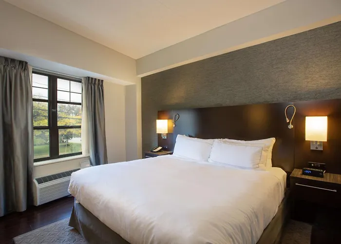 The Mosey Buffalo Williamsville Tapestry Collection Hilton
