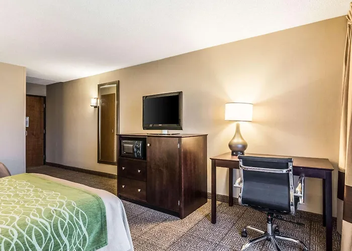 Comfort Inn Lansing West