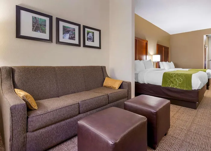 Comfort Suites Boone - University Area