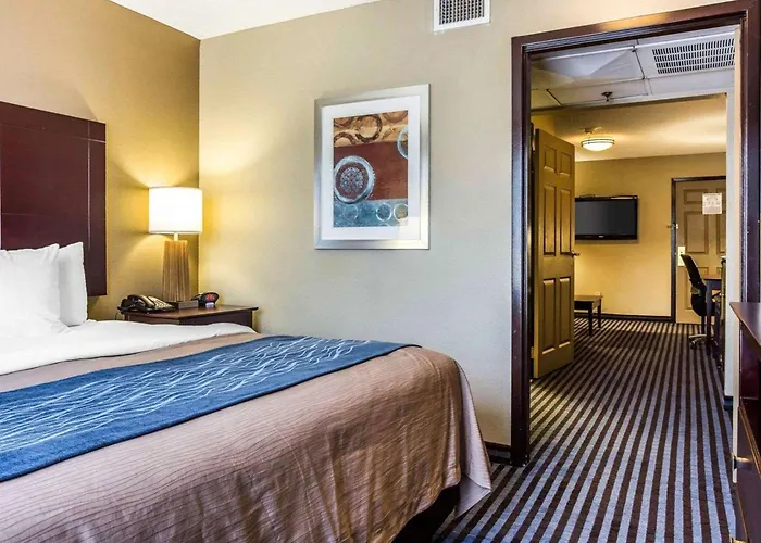 Comfort Inn & Suites Ballpark Area