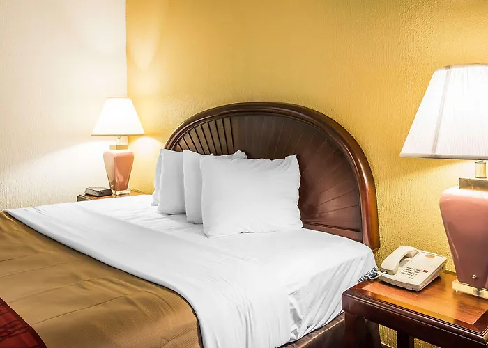 Econo Lodge Inn & Suites Carrollton