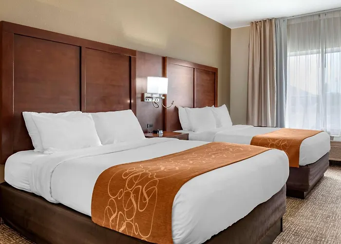Comfort Suites Auburn Near I-69
