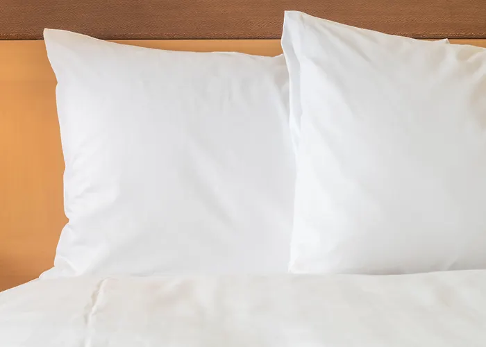 Holiday Inn Kansas City Airport By Ihg