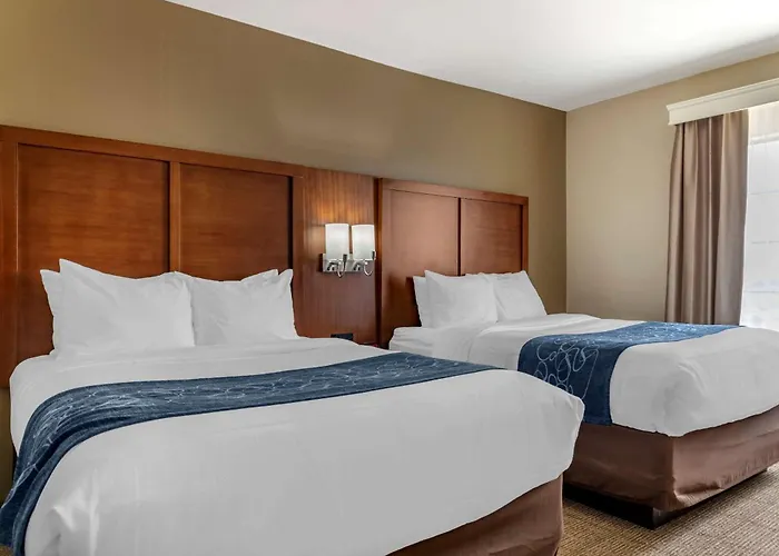 Comfort Suites Buda - Austin South