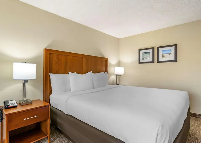 Comfort Inn & Suites St Pete - Clearwater International Airport