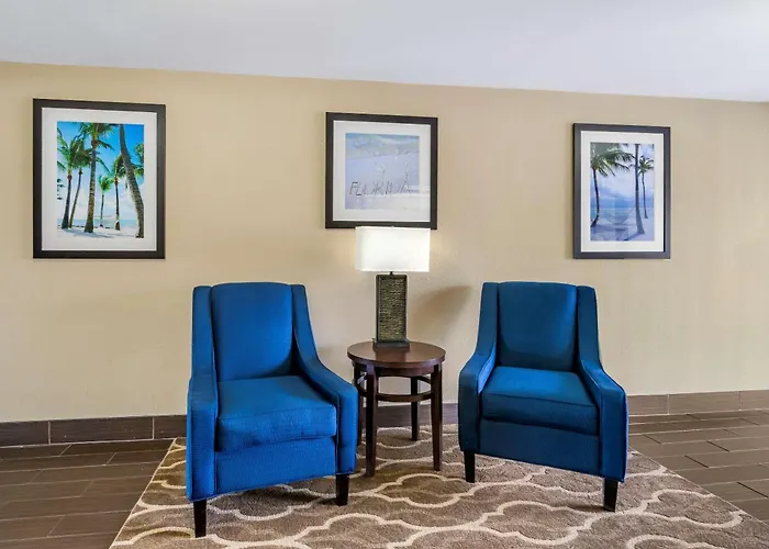 Comfort Inn & Suites St Pete - Clearwater International Airport