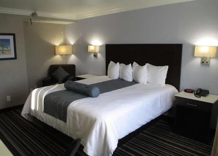 Best Western Plus Diamond Valley Inn