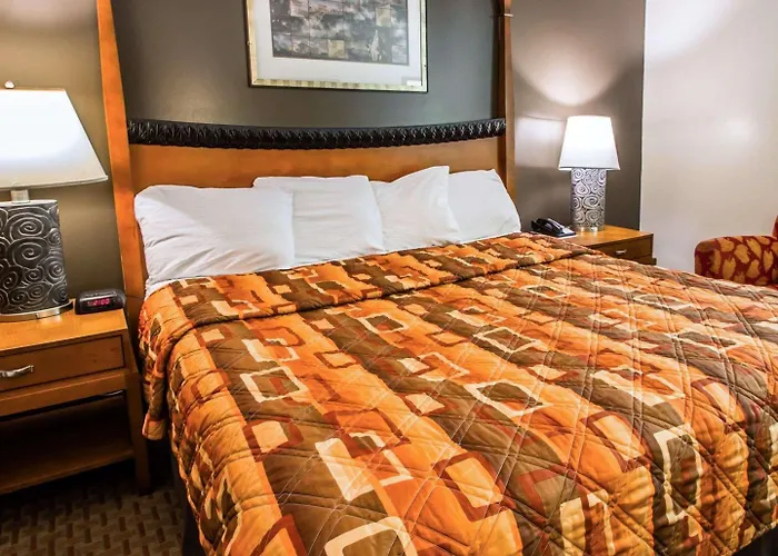 Econo Lodge Tonawanda I-290