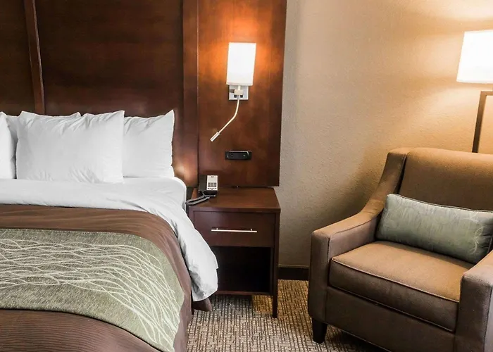 Comfort Inn & Suites Pharr - Mcallen