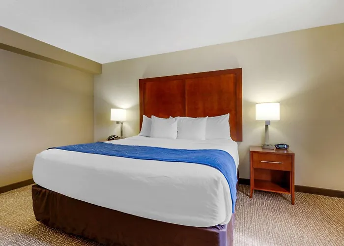 Comfort Suites Fredericksburg South
