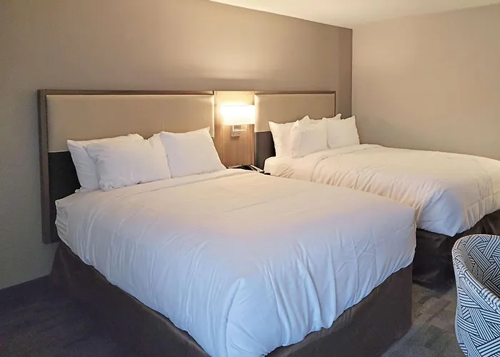 Comfort Inn & Suites Wyomissing-Reading