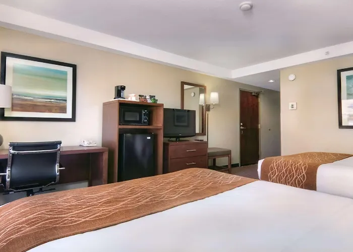 Comfort Inn Silicon Valley East