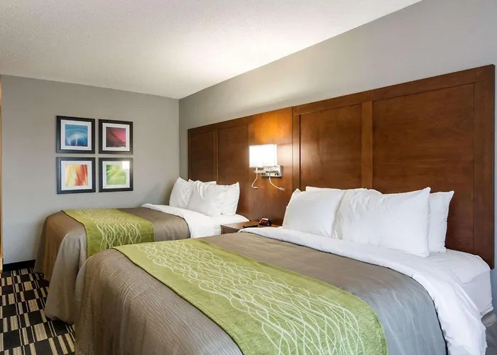 Quality Inn & Suites Ashland Near Kings Dominion