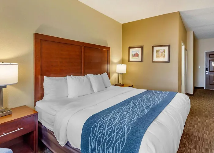 Comfort Inn Rockford Near Casino District