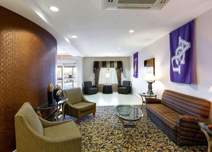 Comfort Suites University