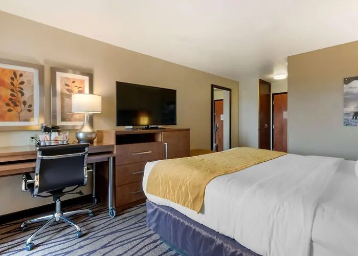 Comfort Inn & Suites Market - Airport