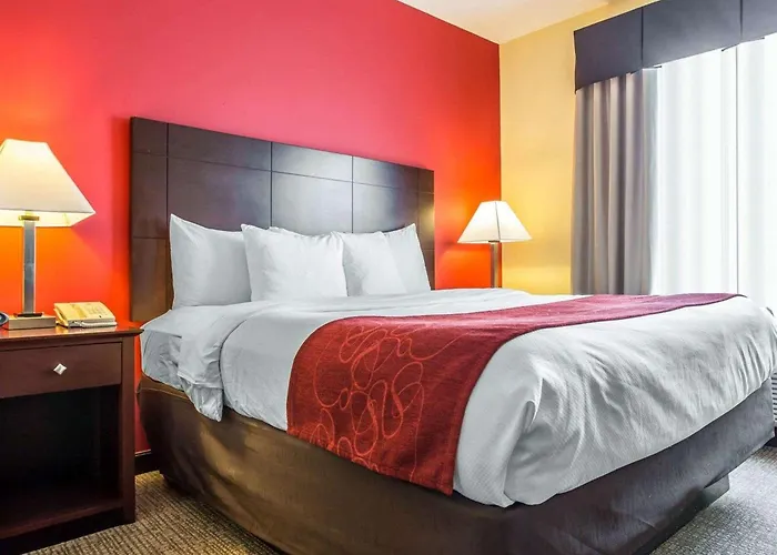 Comfort Suites Rock Hill Manchester Meadows Area