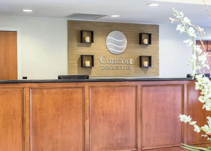 Comfort Inn & Suites Orangeburg