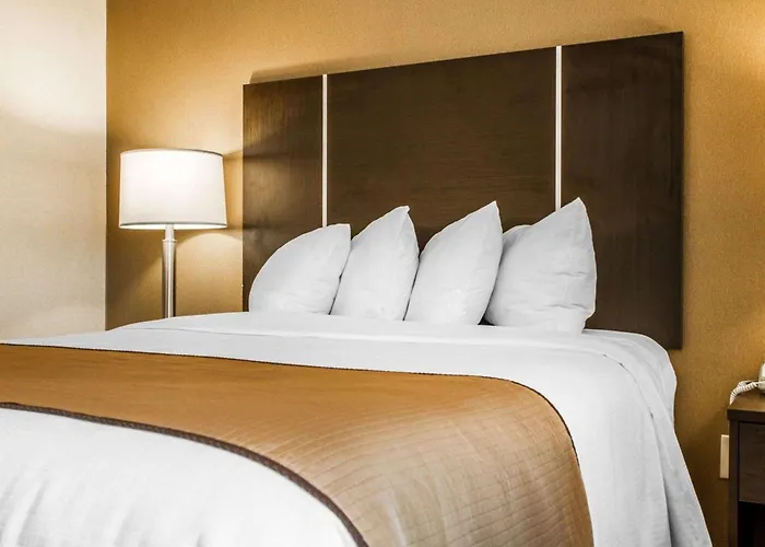 Quality Inn & Suites South Portland