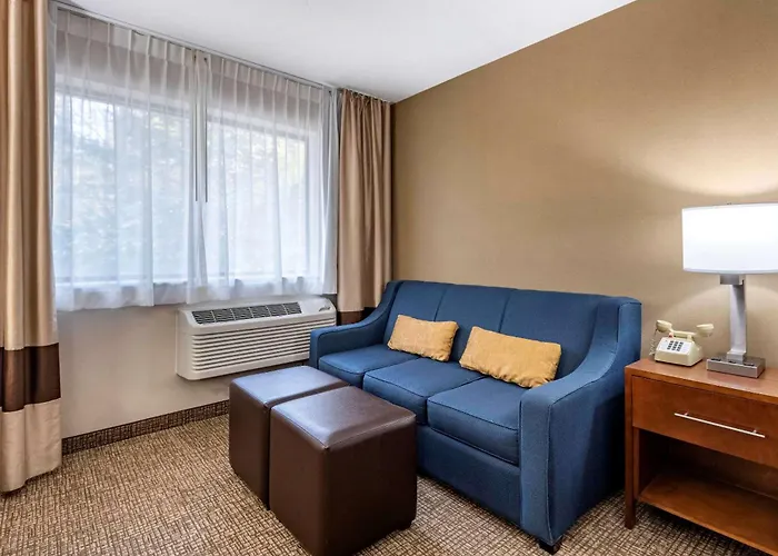 Comfort Inn & Suites Montpelier-Berlin