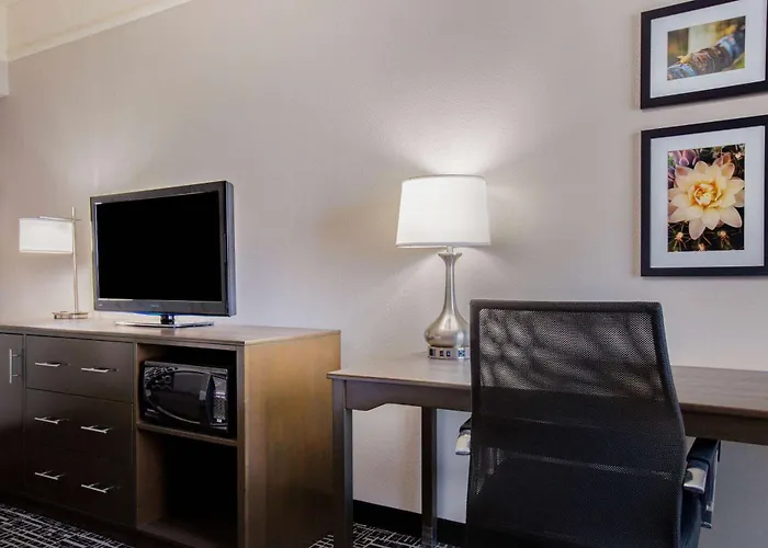 La Quinta By Wyndham Mission At West Mcallen