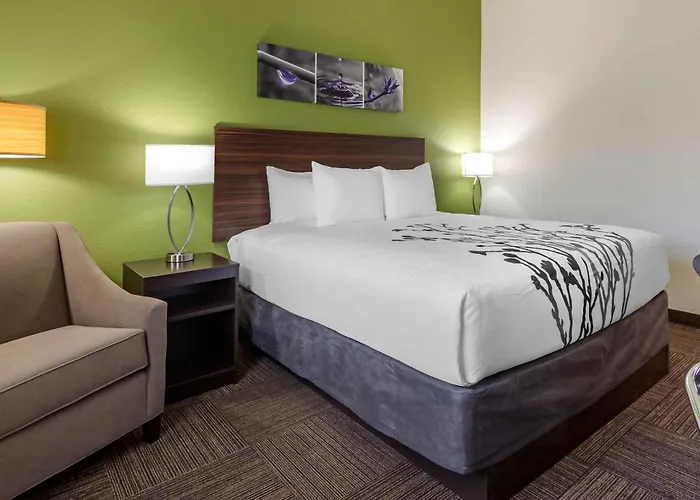 Sleep Inn & Suites Tampa South