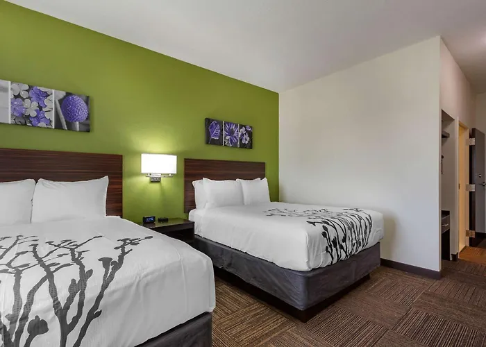 Sleep Inn & Suites Tampa South