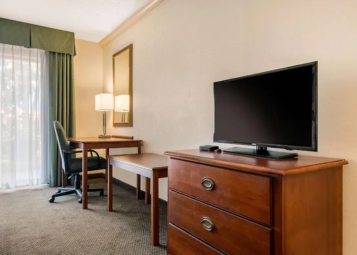 Quality Inn & Suites Tarpon Springs South